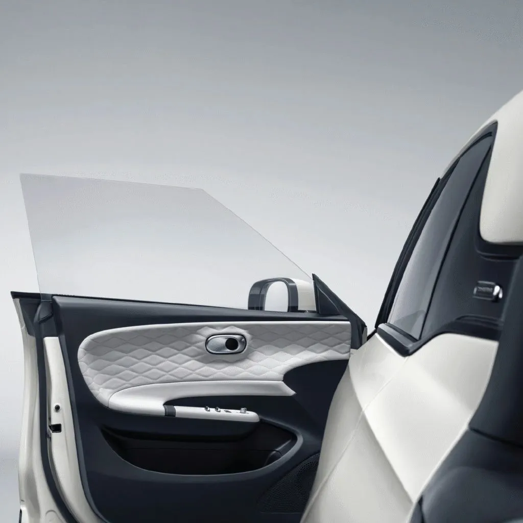 Open Dongfeng BOX front door revealing the quilted white door trim